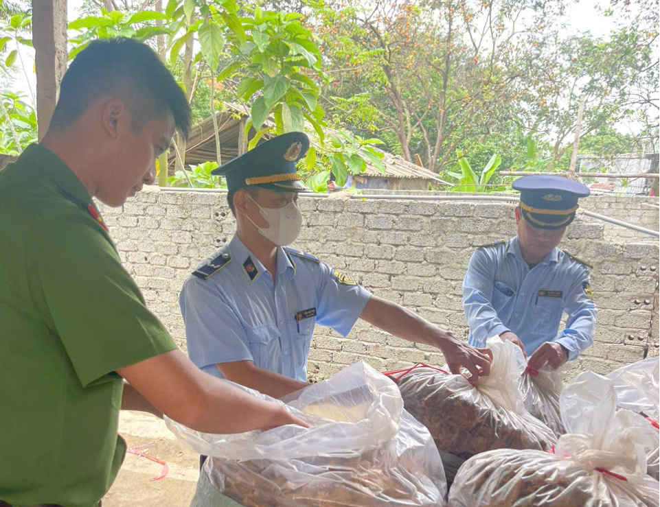 Nghệ An: Tiêu hủy 150 kg măng khô không rõ nguồn gốc, xuất xứ